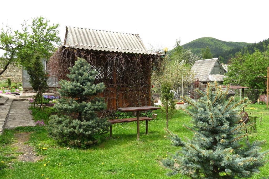 Bilyy Kamin Guest House Tatariv Eksteriør bilde
